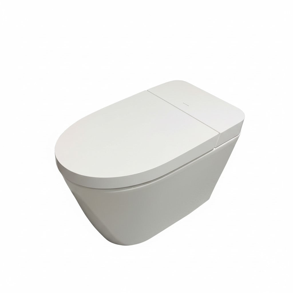 Simple configuration Smart toilet