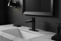 Single Handle Lavatory, Black
