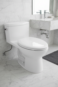 2021B CUPC Watersense Simple Toilet