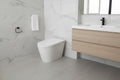 Simple configuration Smart toilet