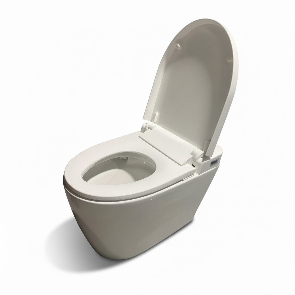 Simple configuration Smart toilet